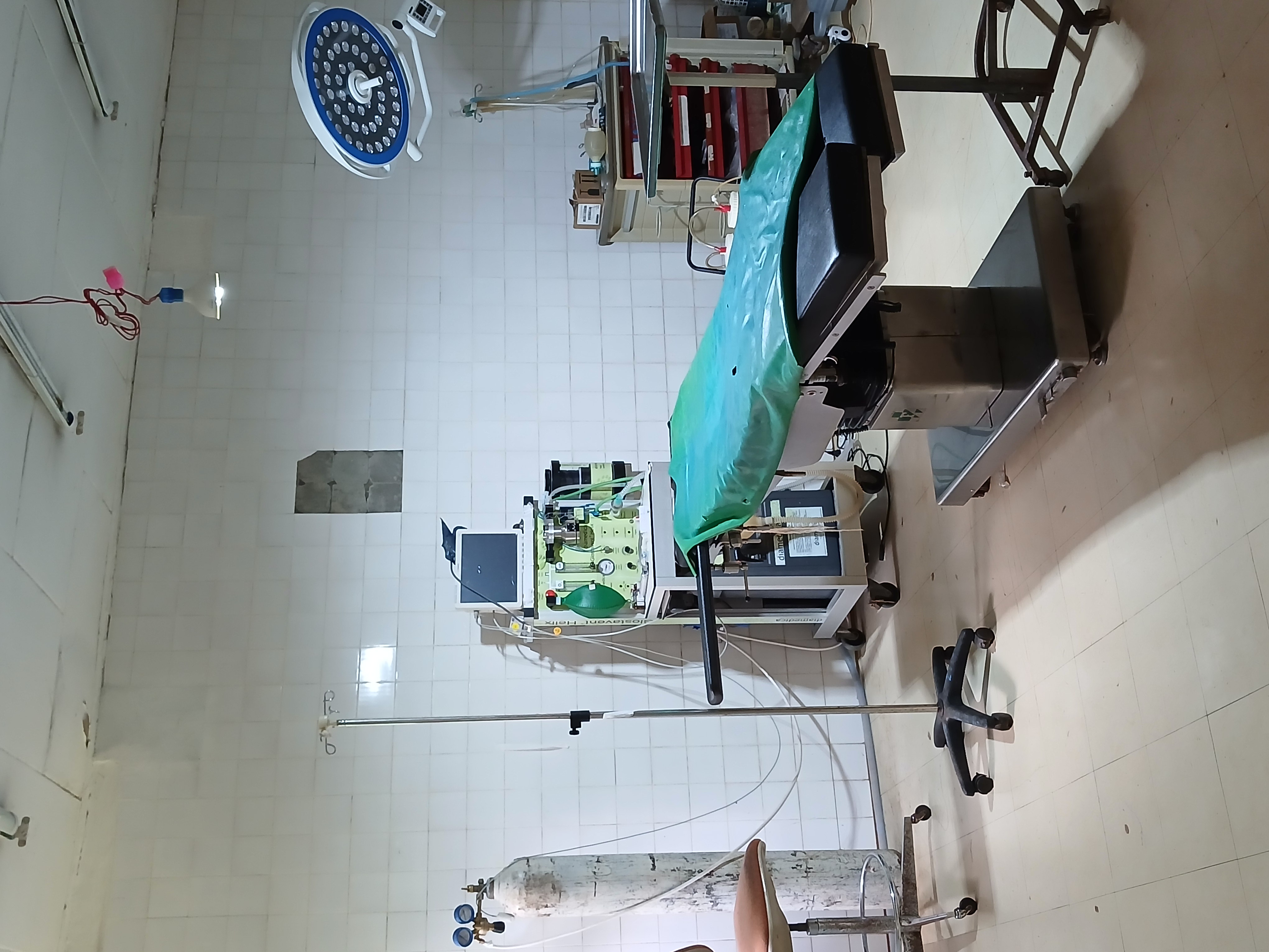 Surgery Department